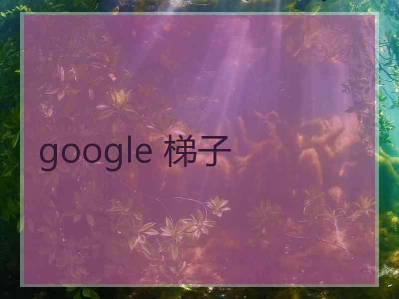 google 梯子