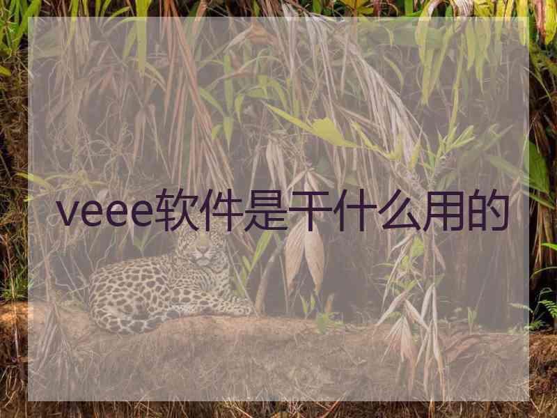 veee软件是干什么用的