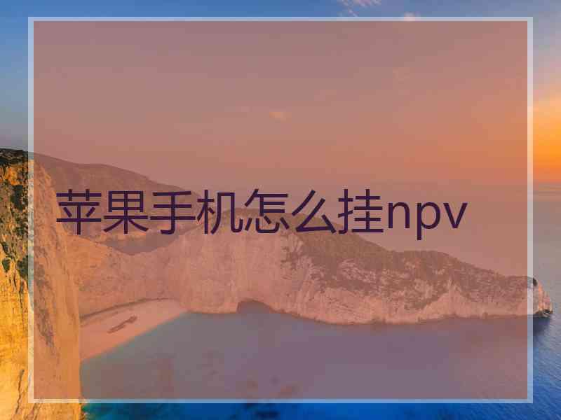 苹果手机怎么挂npv