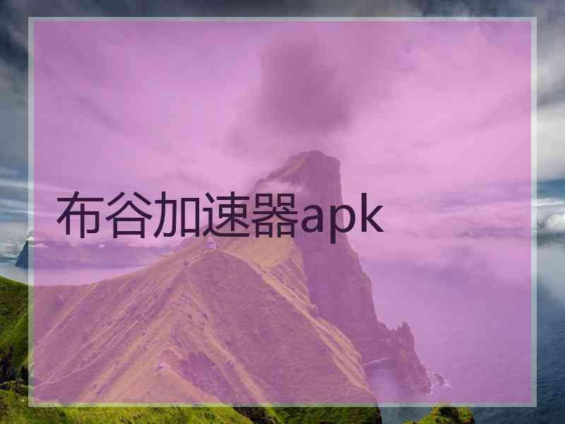 布谷加速器apk