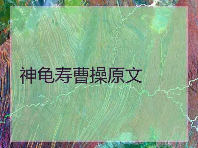 神龟寿曹操原文