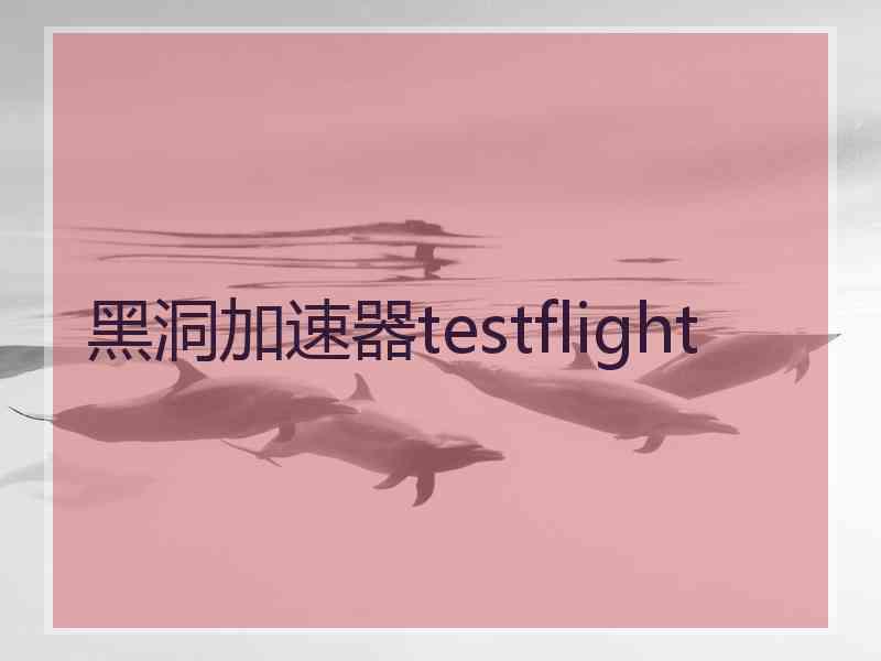 黑洞加速器testflight