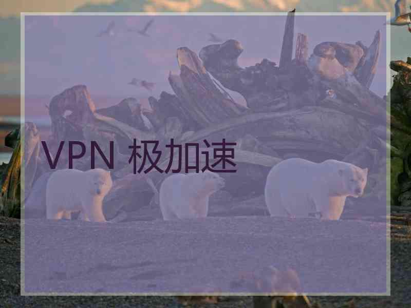 VPN 极加速