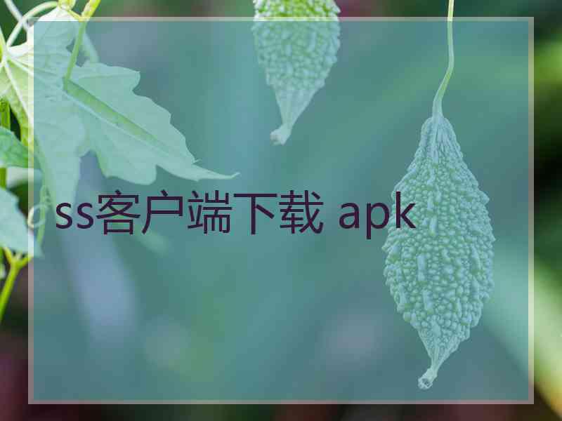 ss客户端下载 apk