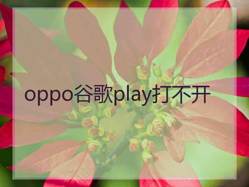 oppo谷歌play打不开