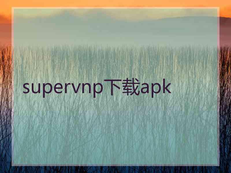 supervnp下载apk