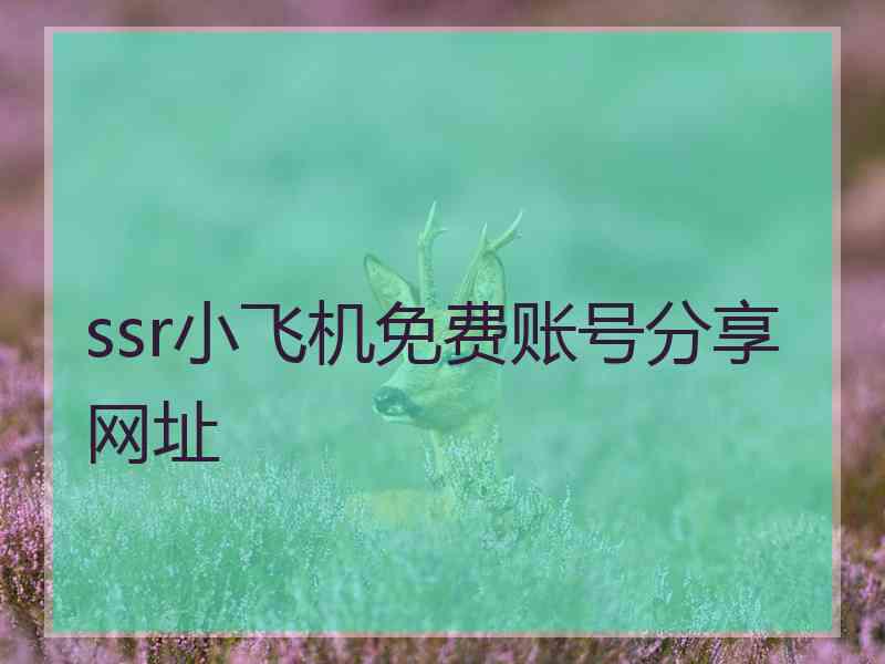 ssr小飞机免费账号分享网址