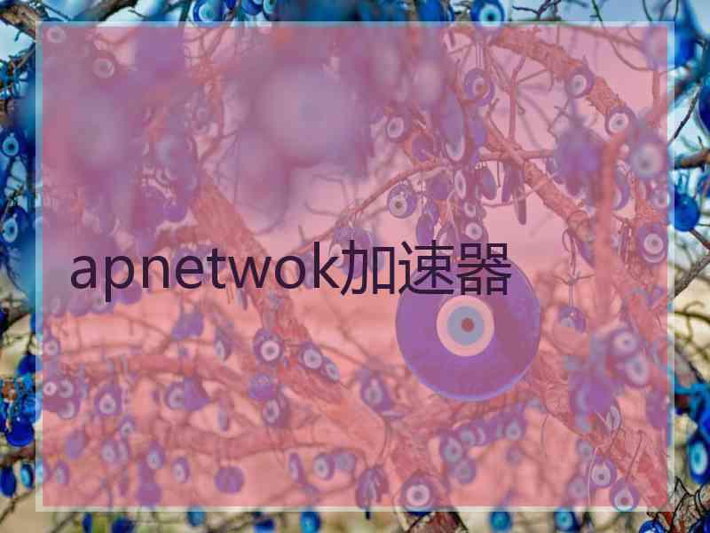 apnetwok加速器