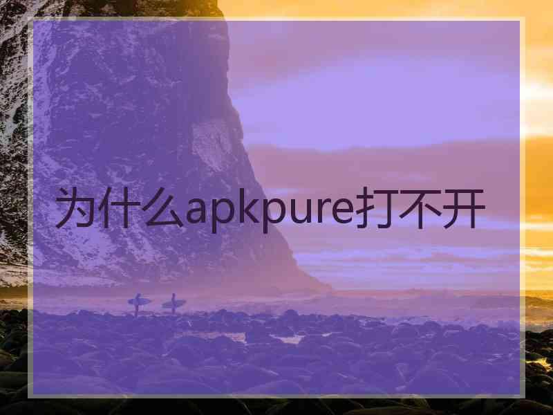 为什么apkpure打不开