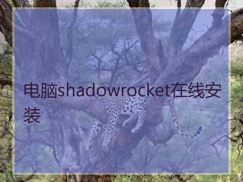 电脑shadowrocket在线安装