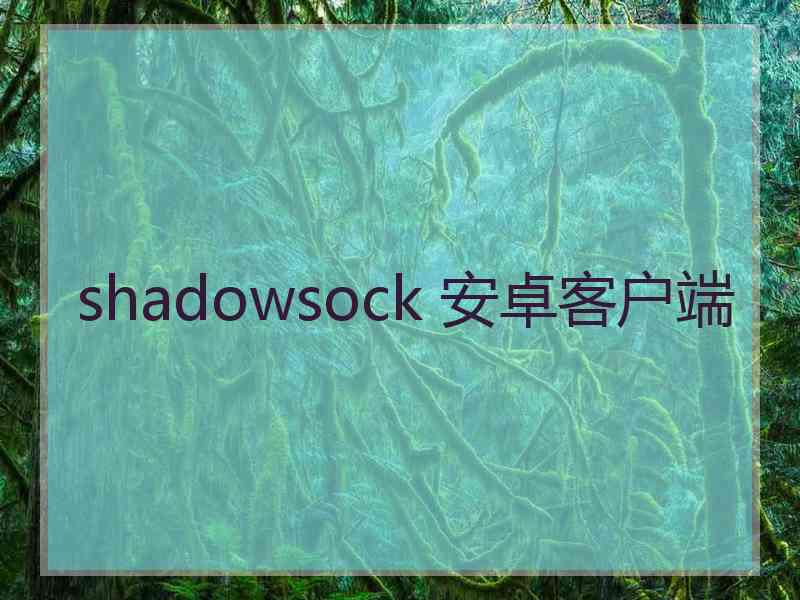 shadowsock 安卓客户端