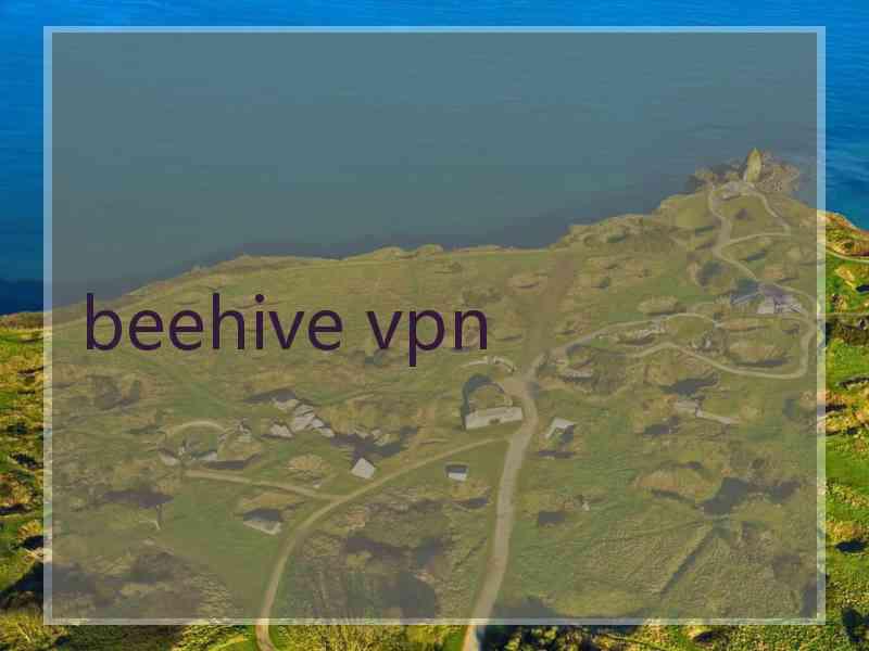 beehive vpn