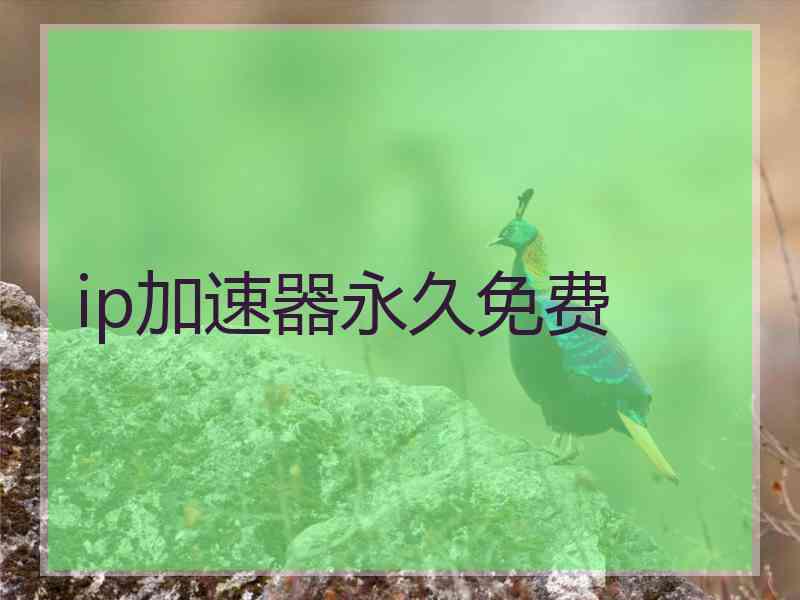 ip加速器永久免费