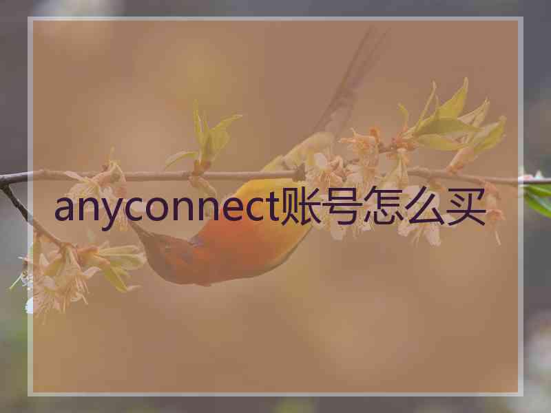 anyconnect账号怎么买