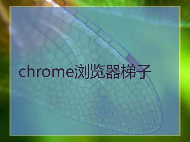 chrome浏览器梯子