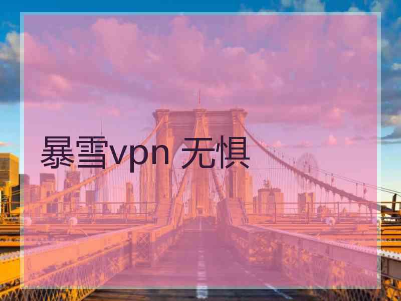 暴雪vpn 无惧