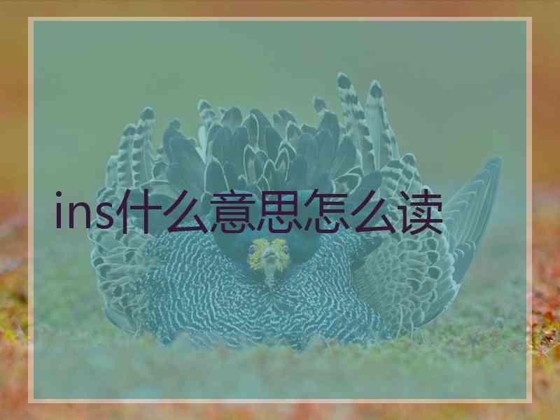 ins什么意思怎么读