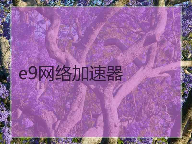 e9网络加速器