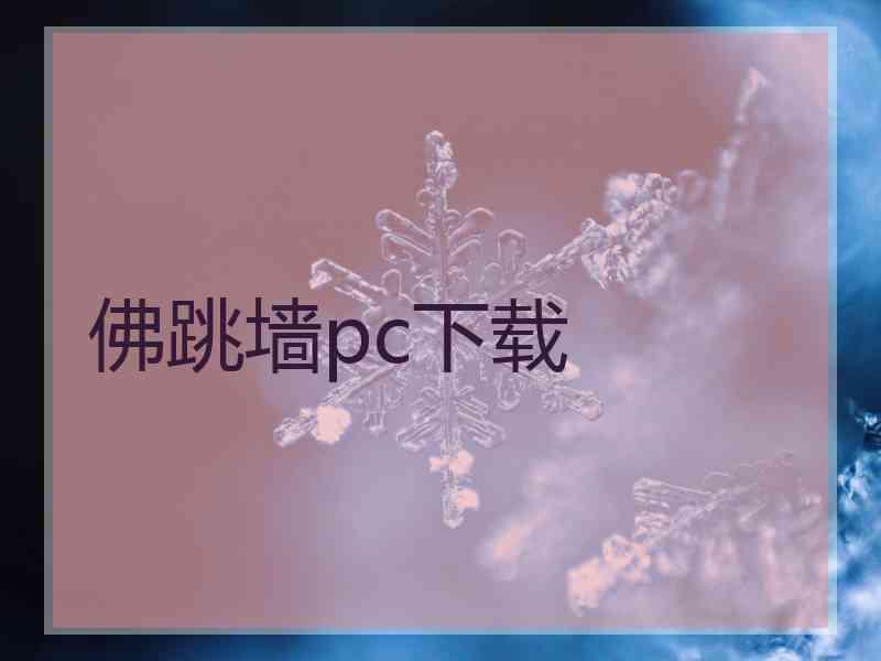 佛跳墙pc下载