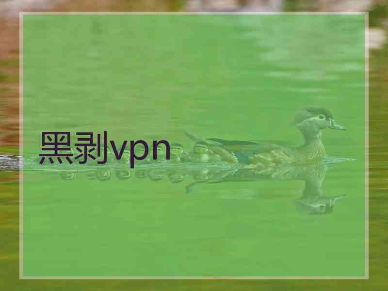 黑剥vpn