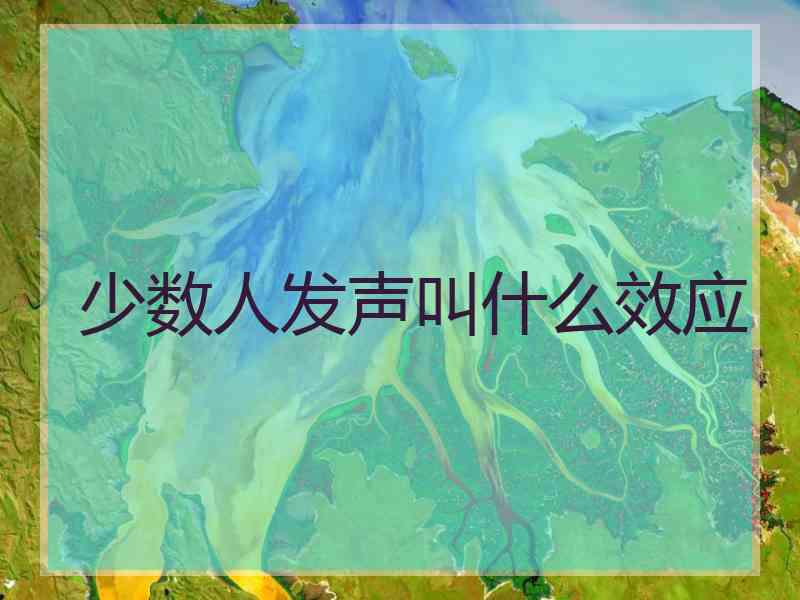 少数人发声叫什么效应