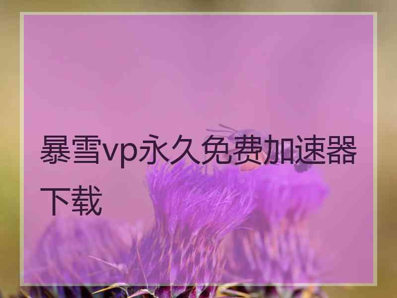 暴雪vp永久免费加速器下载