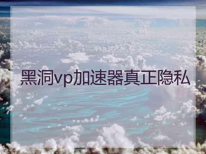 黑洞vp加速器真正隐私