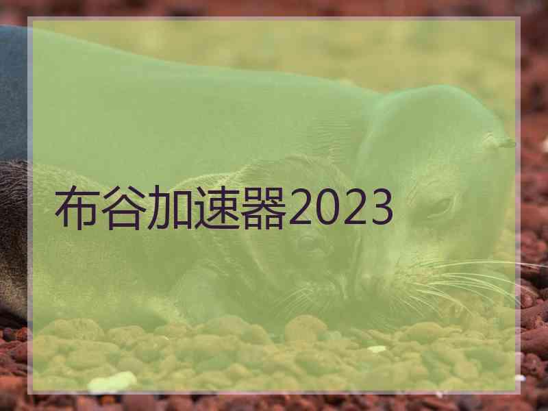 布谷加速器2023