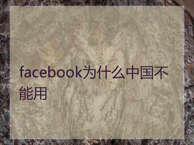 facebook为什么中国不能用