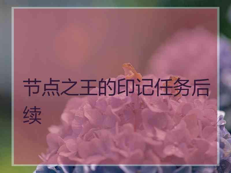 节点之王的印记任务后续