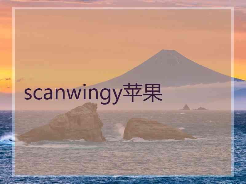 scanwingy苹果