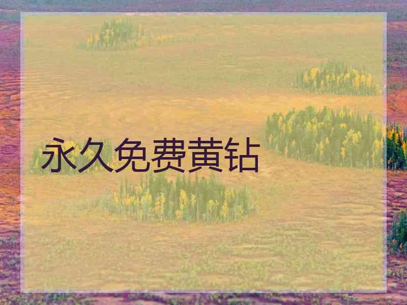 永久免费黄钻