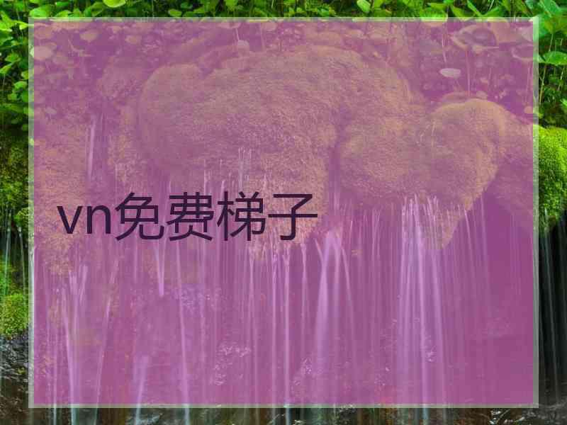 vn免费梯子