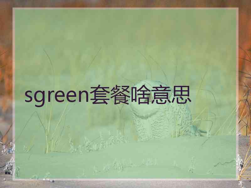 sgreen套餐啥意思