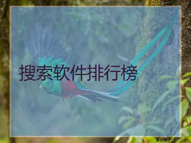 搜索软件排行榜