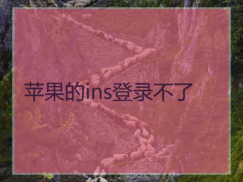 苹果的ins登录不了