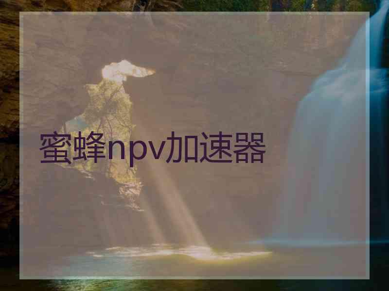 蜜蜂npv加速器