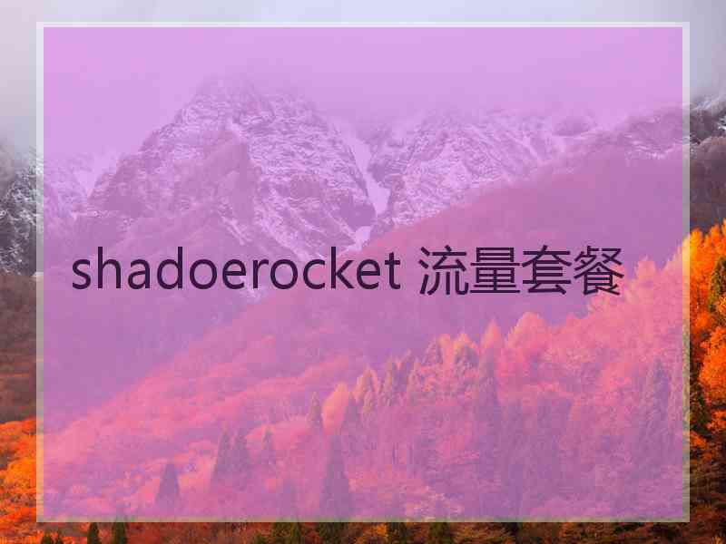 shadoerocket 流量套餐