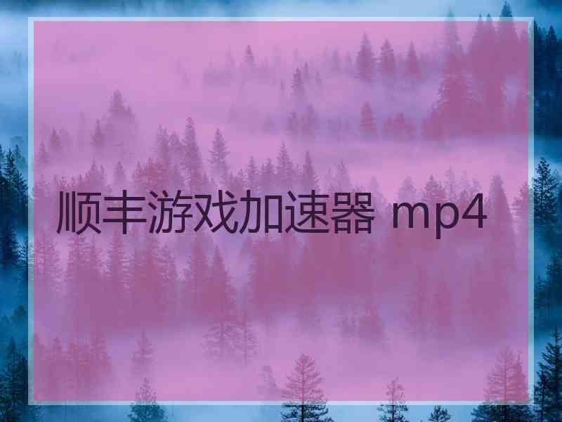 顺丰游戏加速器 mp4