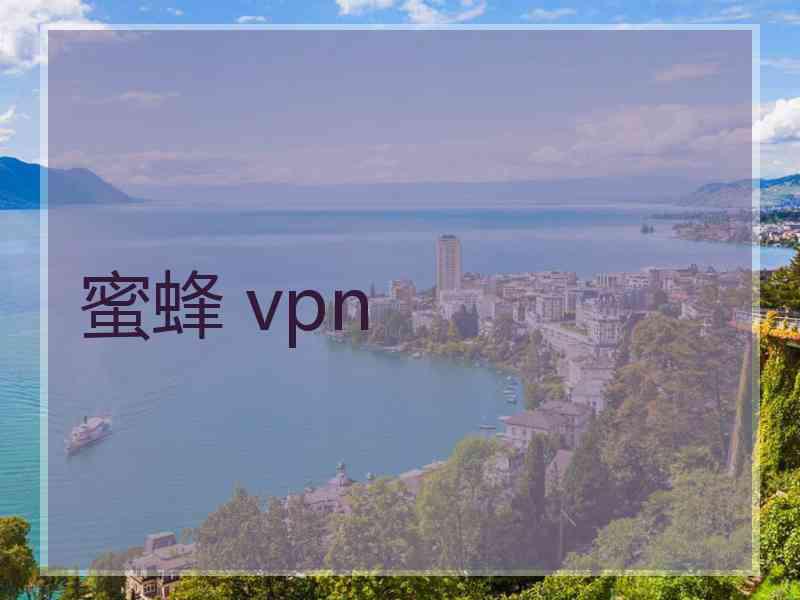 蜜蜂 vpn