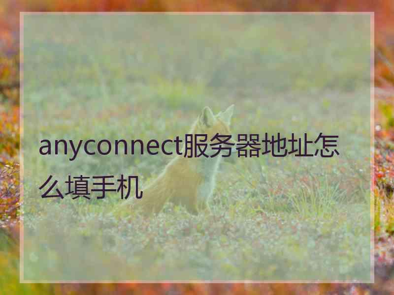 anyconnect服务器地址怎么填手机