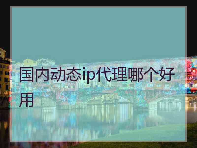 国内动态ip代理哪个好用