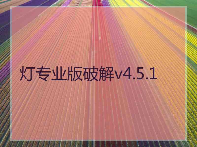 灯专业版破解v4.5.1