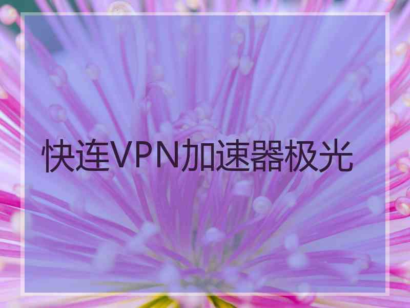 快连VPN加速器极光