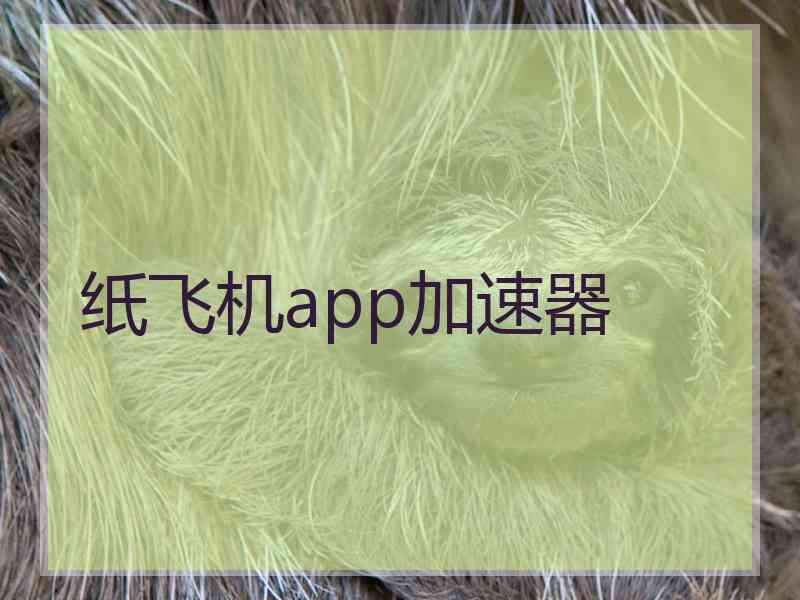 纸飞机app加速器