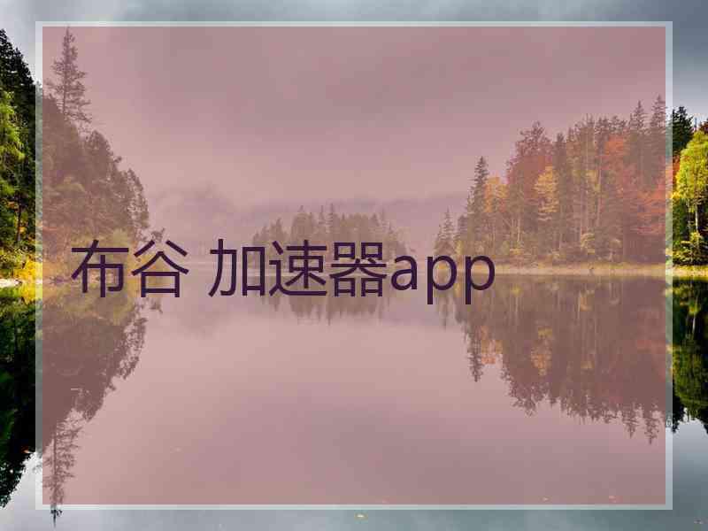 布谷 加速器app