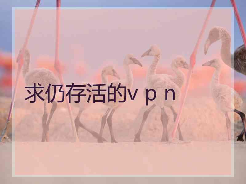 求仍存活的v p n