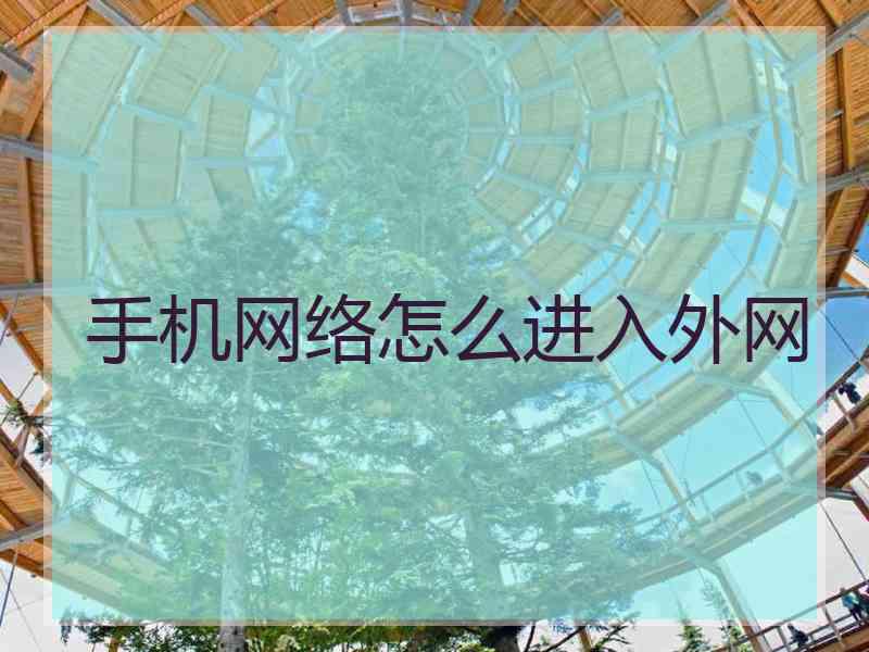 手机网络怎么进入外网