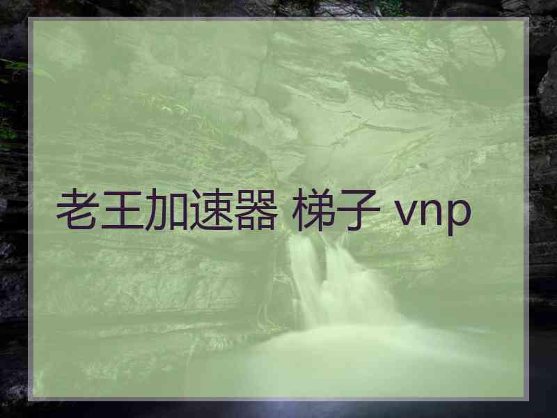 老王加速器 梯子 vnp