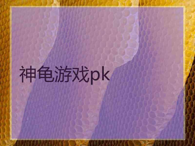 神龟游戏pk